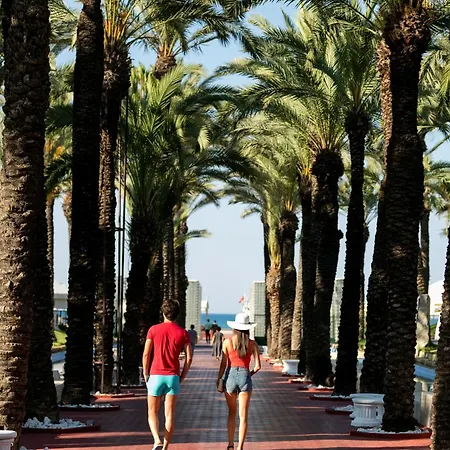 Hotell Monachus Family Sorgun 5*