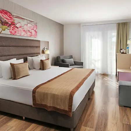 Monachus Family Sorgun Side