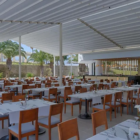 Monachus Family Sorgun