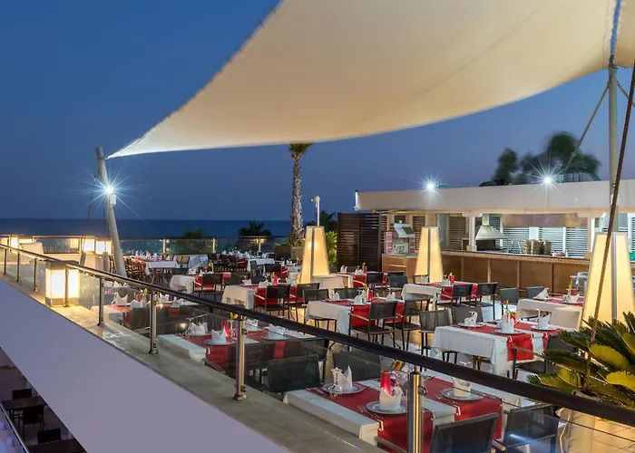 Monachus Family Sorgun