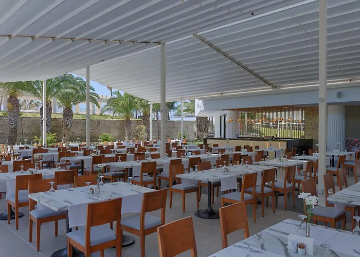 Monachus Family Sorgun