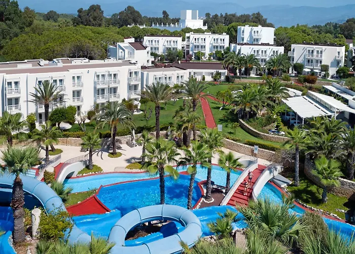 Monachus Family Sorgun