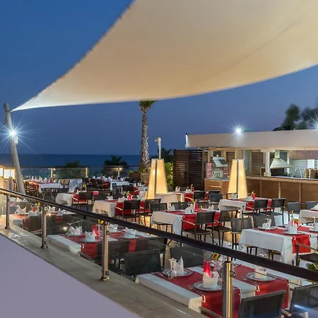 Monachus Family Sorgun